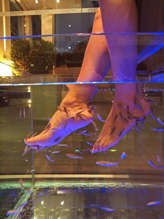 Summertime Boutique Hotel & Spa Platanés エクステリア 写真